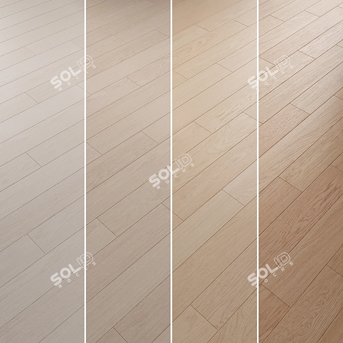 Oak Parquet Flooring Collection 3D model image 4