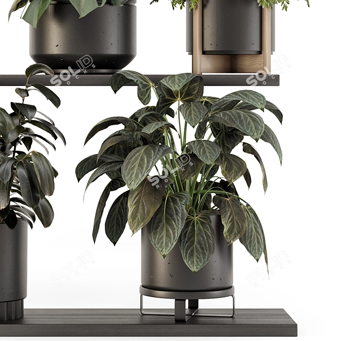 Rusty Concrete Pot Indoor Plants 3D model image 3