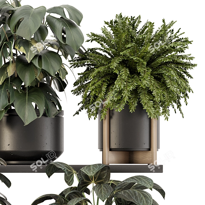 Rusty Concrete Pot Indoor Plants 3D model image 4