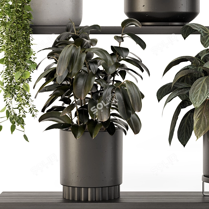 Rusty Concrete Pot Indoor Plants 3D model image 6