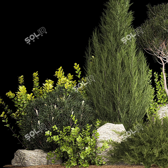 Premium Landscape Plant Collection 3D model image 6