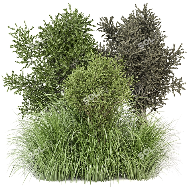 Outdoor Bush Plants Set 805 3D model image 1