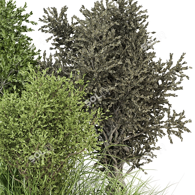 Outdoor Bush Plants Set 805 3D model image 3