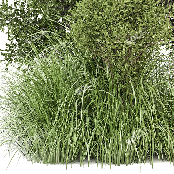 Outdoor Bush Plants Set 805 3D model image 4