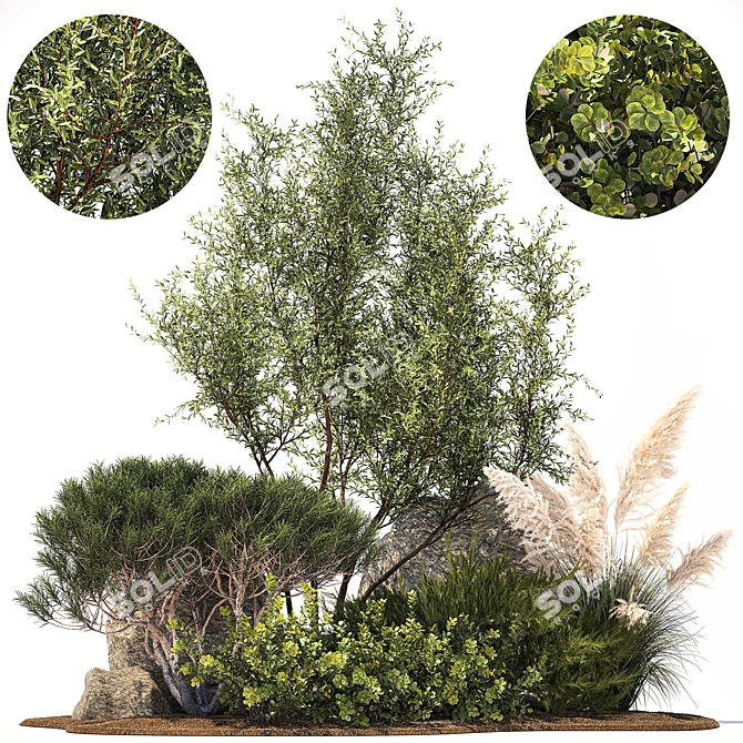 Alpine Garden Set: Juniper & Fir 3D model image 1