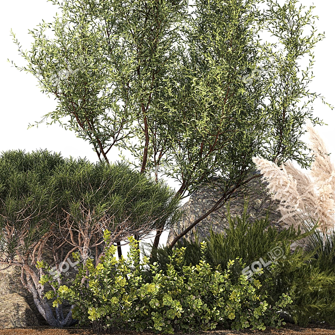 Alpine Garden Set: Juniper & Fir 3D model image 2