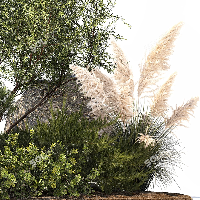 Alpine Garden Set: Juniper & Fir 3D model image 4