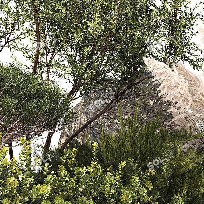 Alpine Garden Set: Juniper & Fir 3D model image 5