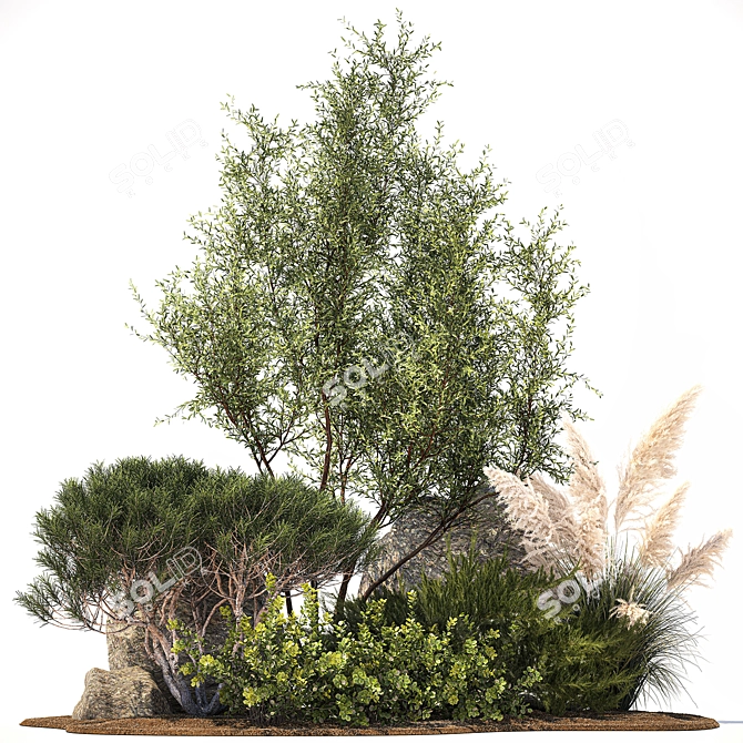 Alpine Garden Set: Juniper & Fir 3D model image 6