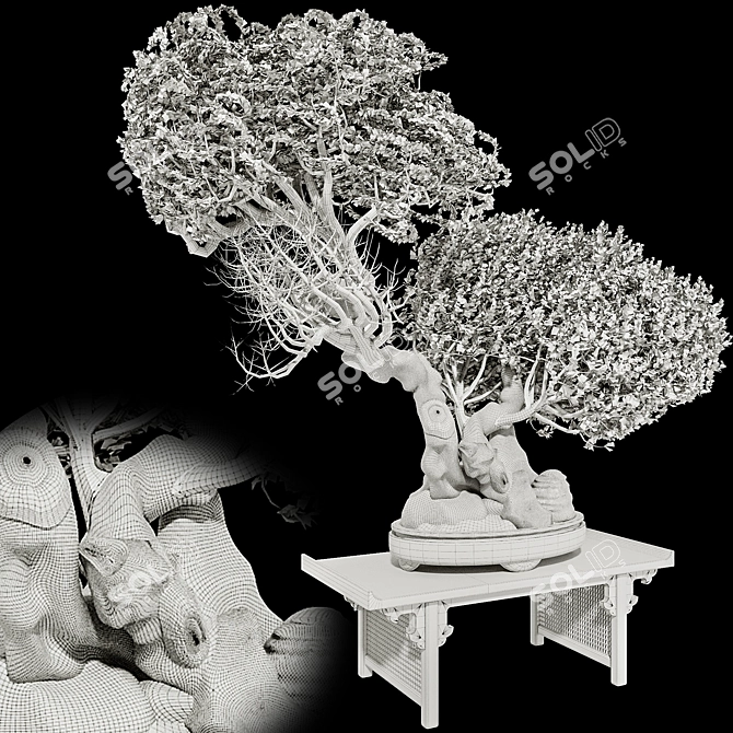 Bonsai Tree 3D Model Set 3D model image 7