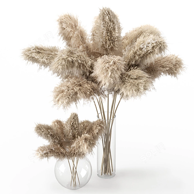 Dried Pampas Grass Vase Set 3D model image 2