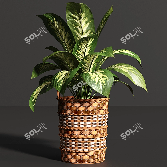 Variety Indoor Plants Collection 25 3D model image 5