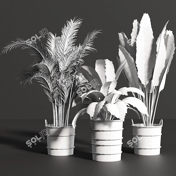 Variety Indoor Plants Collection 25 3D model image 6