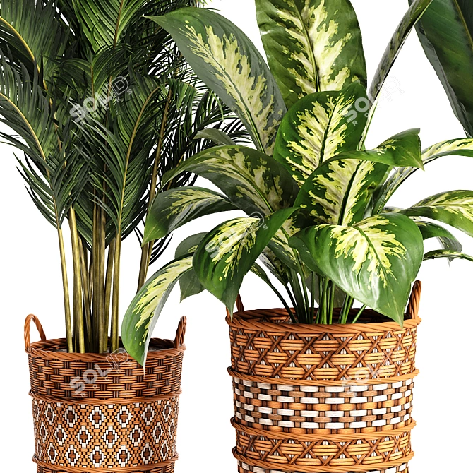 Variety Indoor Plants Collection 25 3D model image 9