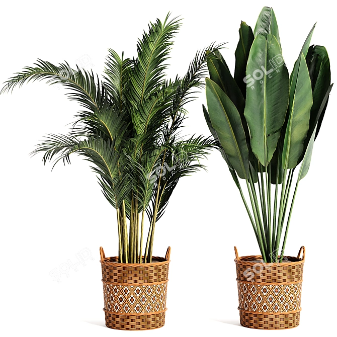 Variety Indoor Plants Collection 25 3D model image 11