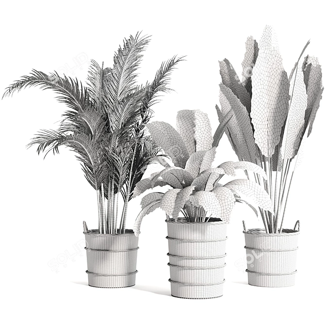 Variety Indoor Plants Collection 25 3D model image 12