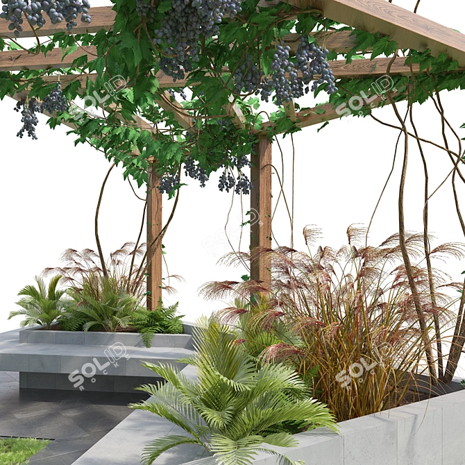 Vine Pergola Garden 3D Model 3D model image 2