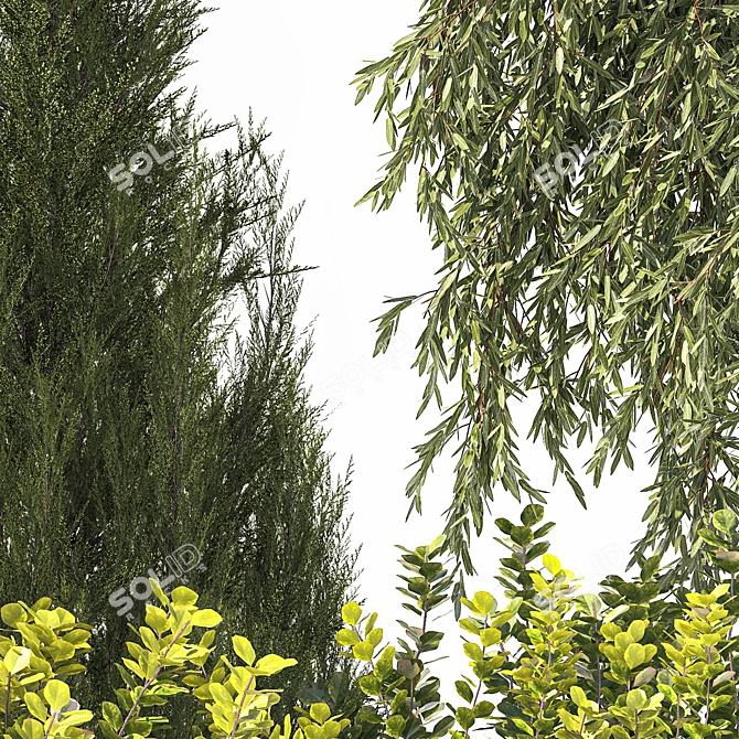 Urban Oasis Collection: Shrubs & Trees 3D model image 2