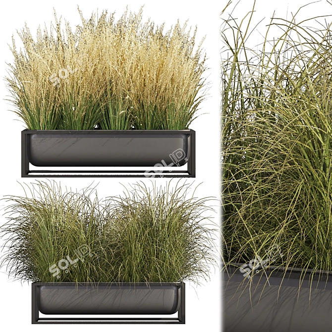  Premium Switchgrass Northwind Collection 3D model image 1