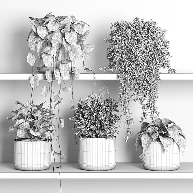 Plant Display Shelf with Greenery 3D model image 2