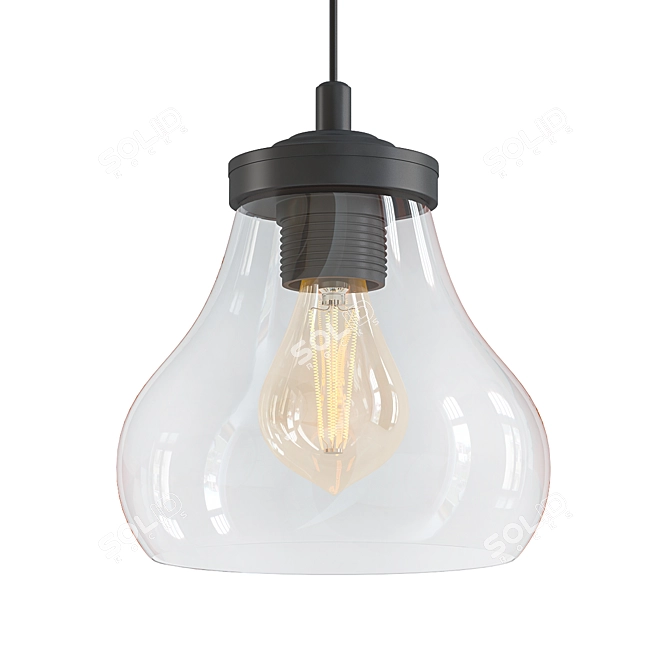 Vintage Clear Glass Pendant Lights 3D model image 1