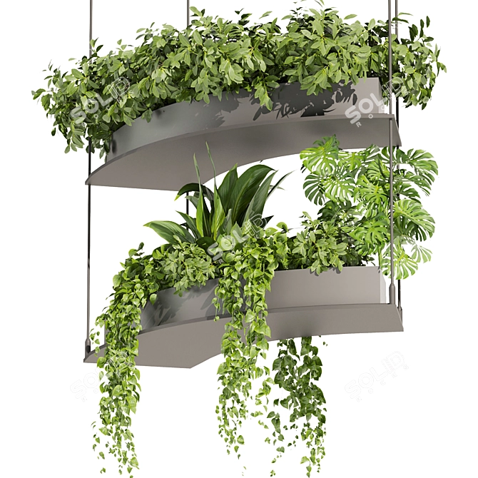 Vol 475 Plant Collection: Palm, Pothos 3D model image 1