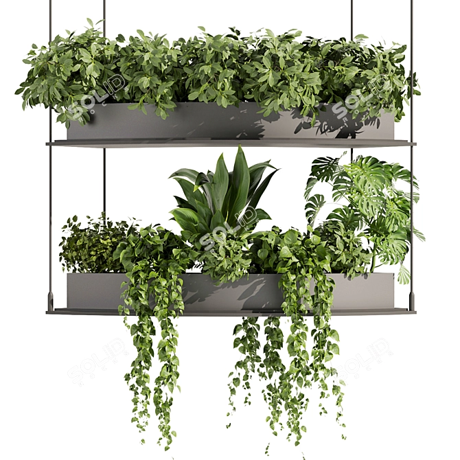 Vol 475 Plant Collection: Palm, Pothos 3D model image 2