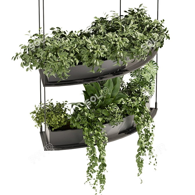 Vol 475 Plant Collection: Palm, Pothos 3D model image 3