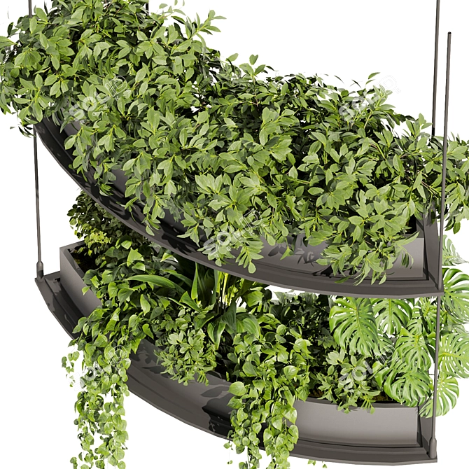 Vol 475 Plant Collection: Palm, Pothos 3D model image 4