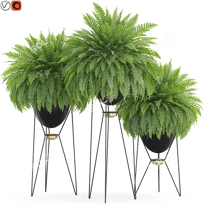 Exotic Plants Collection 916 Grande 3D model image 1
