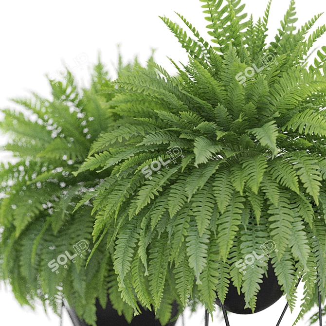 Exotic Plants Collection 916 Grande 3D model image 2