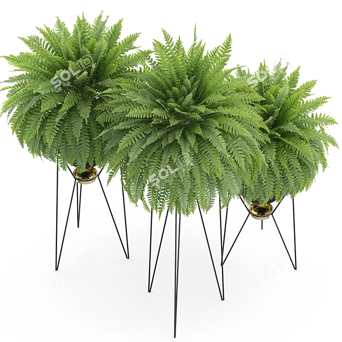 Exotic Plants Collection 916 Grande 3D model image 3