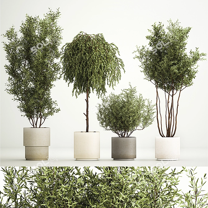 Elegant Potted Tree Set, 1221 3D model image 1