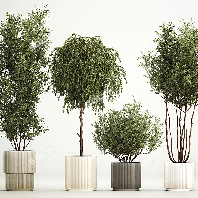 Elegant Potted Tree Set, 1221 3D model image 2