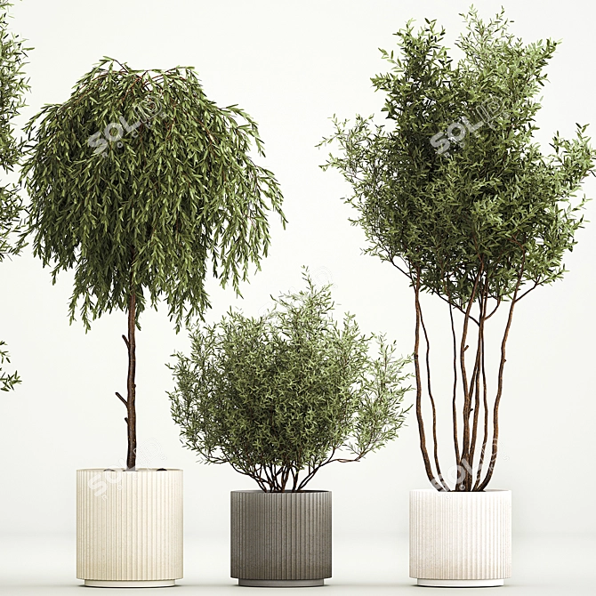 Elegant Potted Tree Set, 1221 3D model image 3