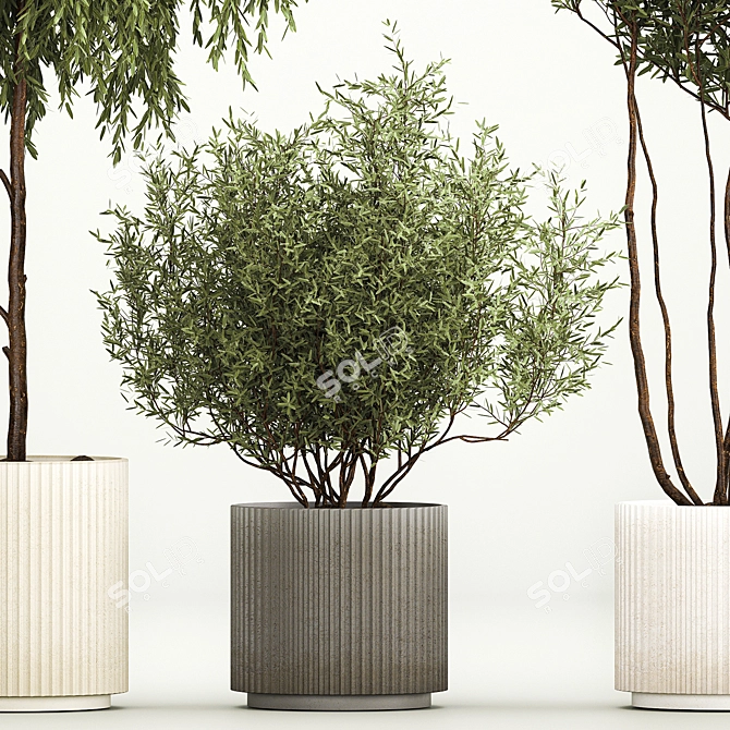 Elegant Potted Tree Set, 1221 3D model image 5