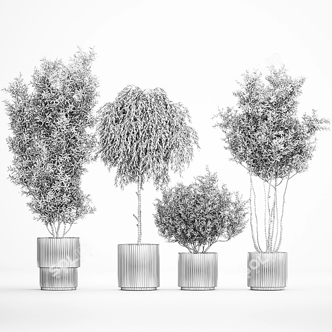 Elegant Potted Tree Set, 1221 3D model image 7