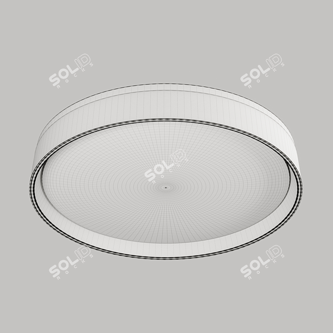 Smart Control Ceiling Light Fixture 3D model image 2