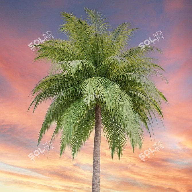 Tropical Paradise Palm Trees Collection 3D model image 6