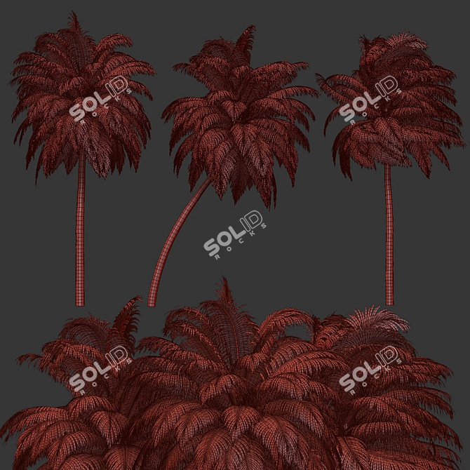 Tropical Paradise Palm Trees Collection 3D model image 7