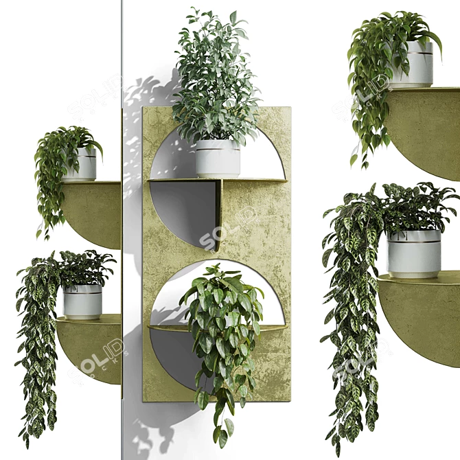 365 Plant Shelf Set: 3D Obj 3D model image 5