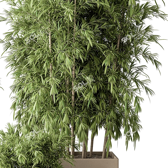 Bamboo Plant Box - Outdoor Greenery 3D model image 2