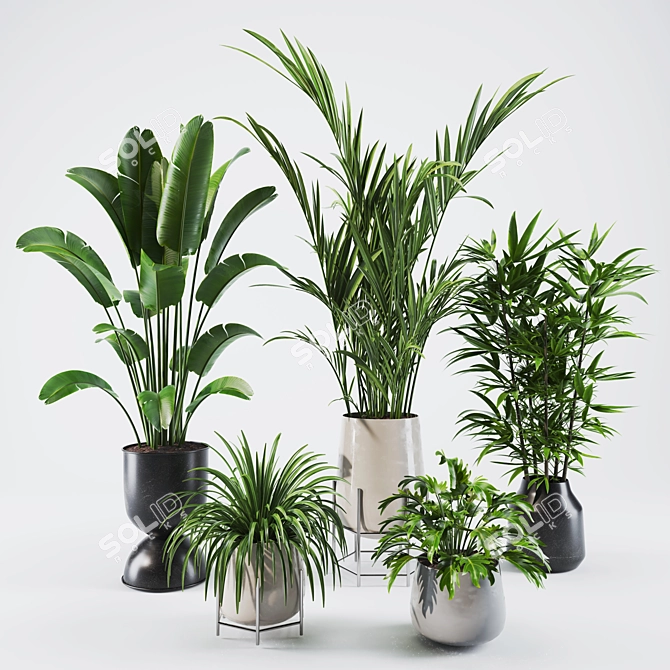 Vibrant Plants Collection Pack 3D model image 1