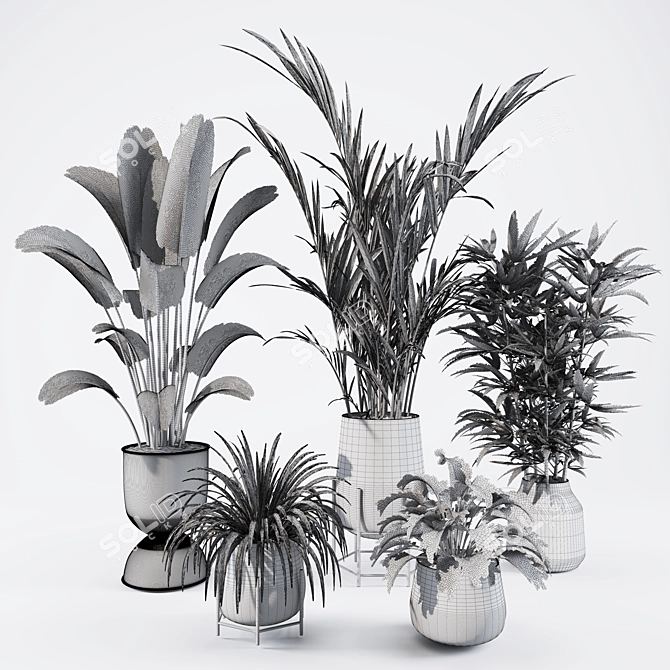 Vibrant Plants Collection Pack 3D model image 2