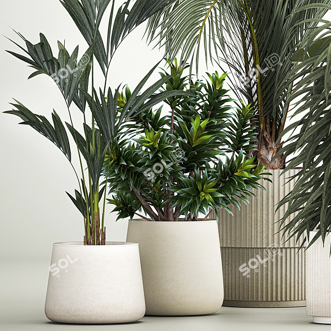 Tropical Plant Collection Ensemble 3D model image 6