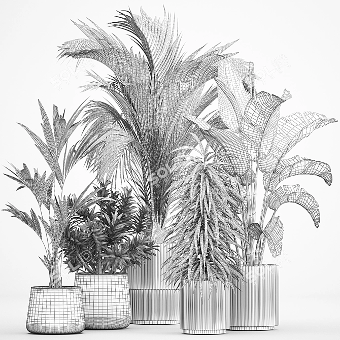 Tropical Plant Collection Ensemble 3D model image 7