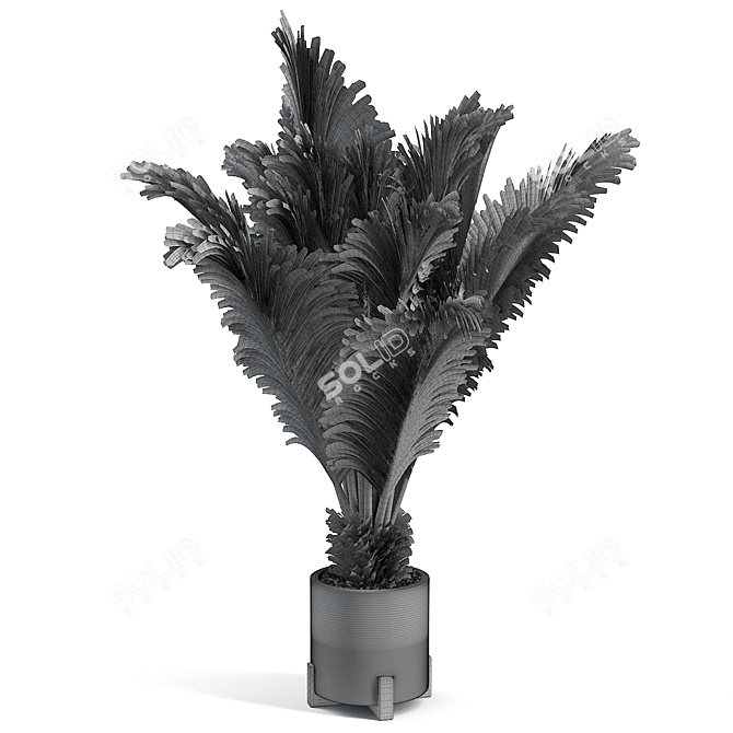 Gorgeous Sago Palm Plant 3D model image 2