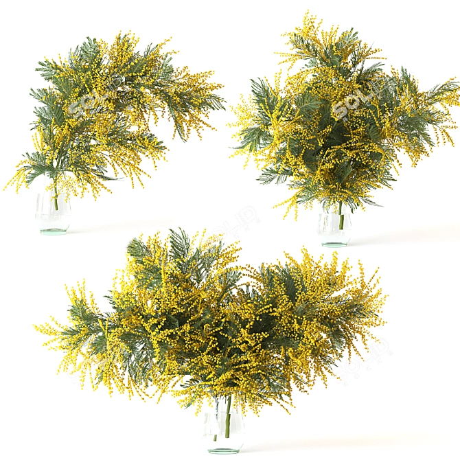 Mimosa Bouquet Collection for 3D 3D model image 1