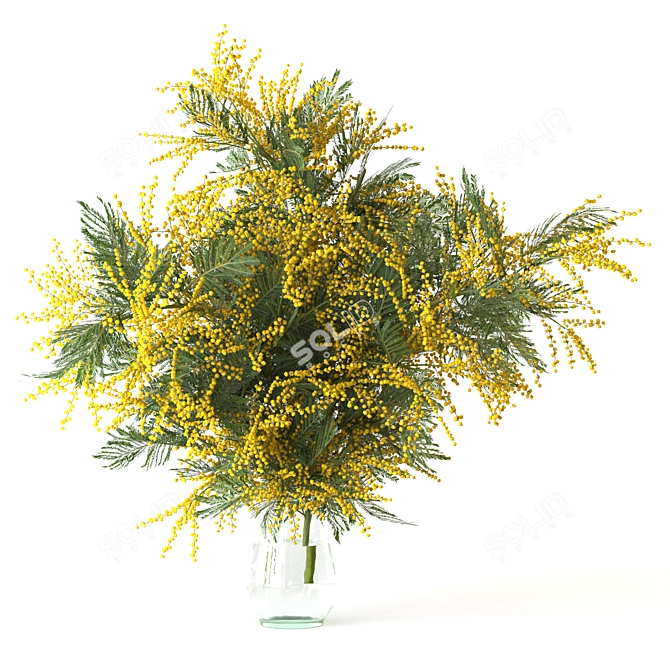 Mimosa Bouquet Collection for 3D 3D model image 5