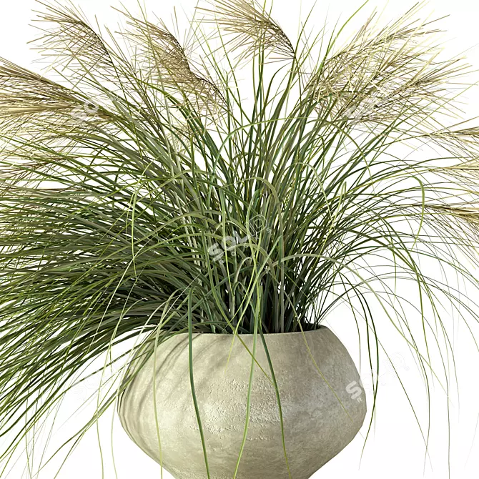 Nature's Harmony Grass Pampas Ensemble 3D model image 2